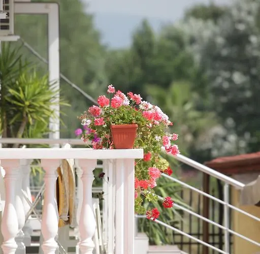 Hotell Zaara Slăntjev Brjag